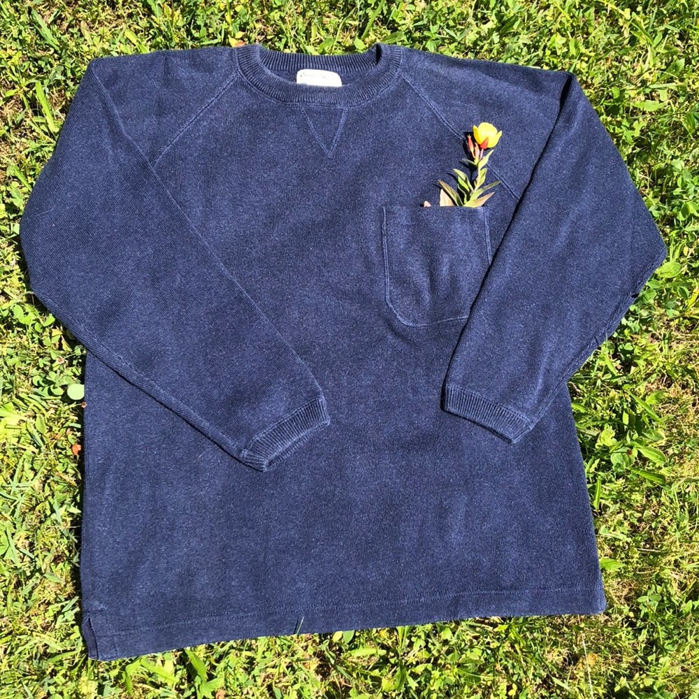 Eddie Bauer Blue Pullover Sweater